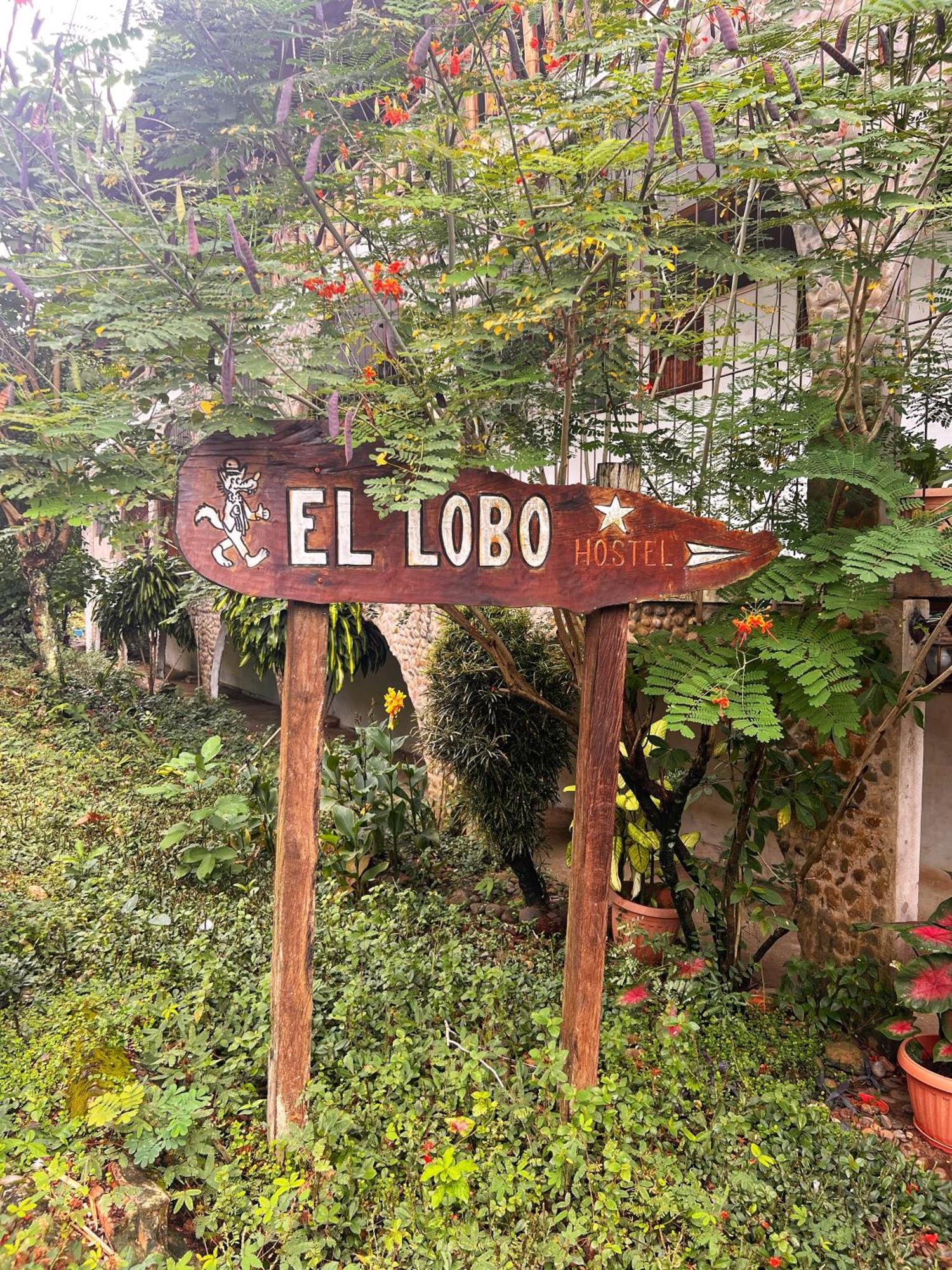 Lobo Hostel - Rurrenabaque (Adults Only) Eksteriør billede